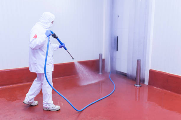 Best Rust Removal  in El Monte, CA